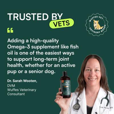 Advanced Omega 3 Fish Oil for Healthy Skin & Coat Supplement for Dogs, 8-fl oz bottle
