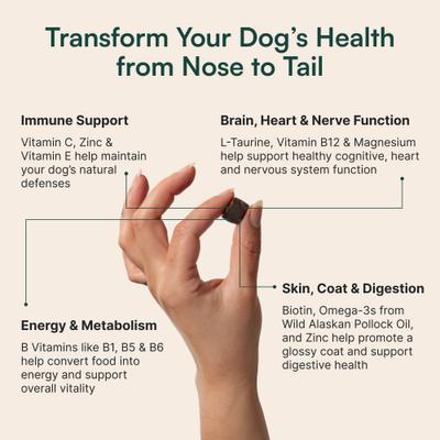 23-in-1 Multivitamin for Dogs, 30 Count