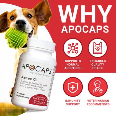 CX Apoptogen Formula Dog Supplement, 90 count