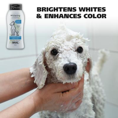 Whitening Brightening Formula Dog Shampoo, White Pear Scent, Light Blue/Blue, 24-oz bottle