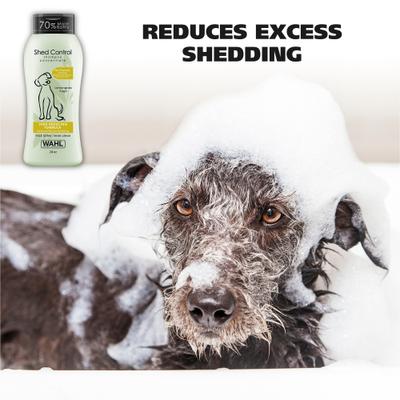Shed Control Oatmeal Dog Shampoo, Light Green/Yellow, Lemongrass & Sage, 24-oz bottle