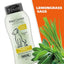 Shed Control Oatmeal Dog Shampoo, Light Green/Yellow, Lemongrass & Sage, 24-oz bottle