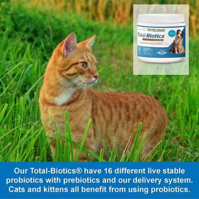 Total-Biotics Probiotic Dog & Cat Powder Supplement, 8-oz jar