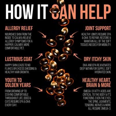 Wild Salmon 500-mg Softgels Skin & Coat Supplement for Small Dogs & Cats, 60 count