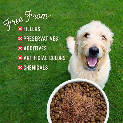 Whole Beef Diabetic Support High Protein Dry Dog Food Topper, 8-oz bag