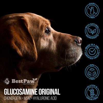 Original Dream Glucosamine Unflavored Liquid Joint Support Supplement for Dogs & Cats, 32-fl oz bottle