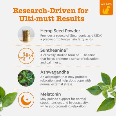 Hemp Elements Calming Bites Turkey Flavored Soft Chews Composure Supplement for Dogs, 90 count