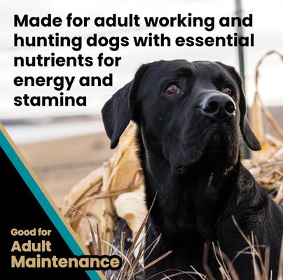 Realtree Max-5 Pro 30/20 High Protein Joint Support Active Sporting Dry Dog Food, 15-lb bag