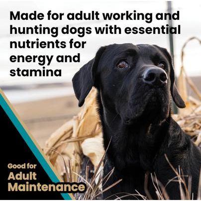 Alimento seco para perros deportivos Realtree Max-5 Pro 30/20 con alto contenido proteico para apoyo articular, bolsa de 15 lb