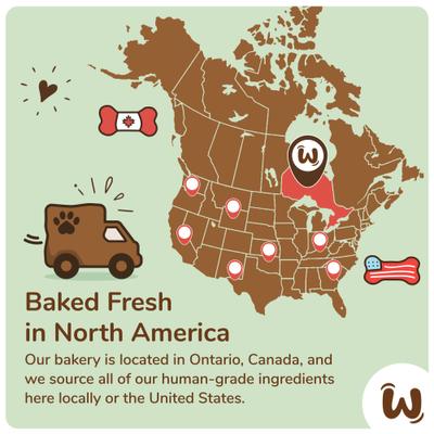 Pawliday Sprinkled Small Bones Festive Mini Holiday Cinnamon, Apple & Honey Cookie Dog Treats, 7.05-oz box