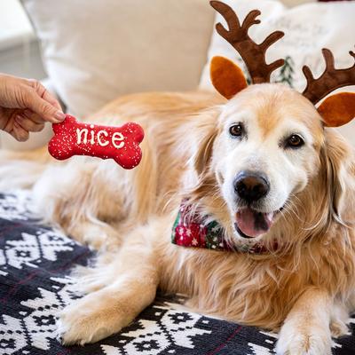 Naughty, Nice, I Tried! Christmas Bones Cinnamon, Apple & Honey Cookie Dog Treats, 2.6-oz box, 3 count