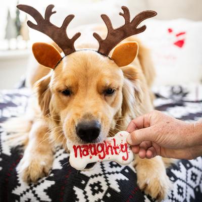 Naughty, Nice, I Tried! Christmas Bones Cinnamon, Apple & Honey Cookie Dog Treats, 2.6-oz box, 3 count