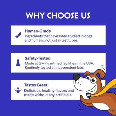 Superhero Turkey Tail Mushroom Powder Supplement for Dogs, 90-g jar