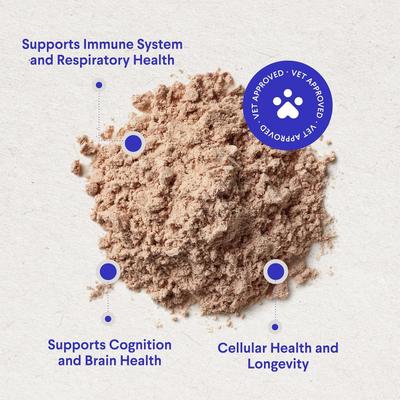 Superhero Turkey Tail Mushroom Powder Supplement for Dogs, 90-g jar