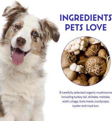 Superhero Turkey Tail Mushroom Powder Supplement for Dogs, 90-g jar