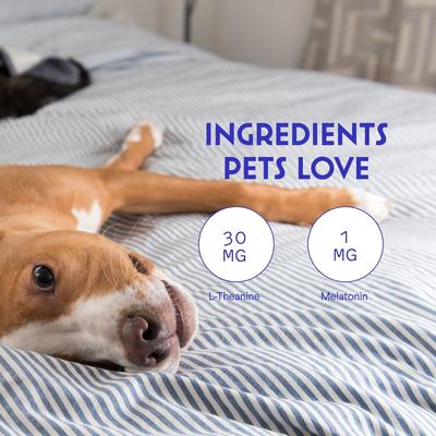 Melatonin & L-Theanine Bacon Flavored Liquid Calming Supplement for Dogs, 2-fl oz bottle