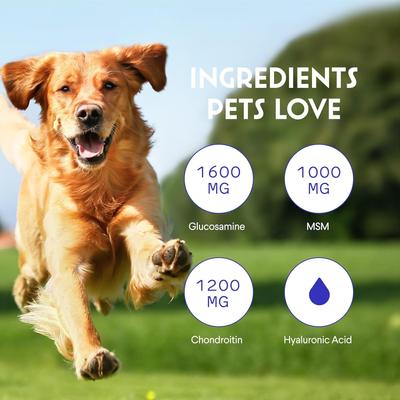 Glucosamine Liquid Joint Supplement for Dogs, 16-fl oz bottle