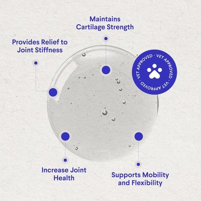 Glucosamine Liquid Joint Supplement for Dogs, 16-fl oz bottle
