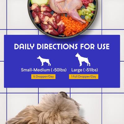 Hemp Oil with Wild Salmon Oil, Calming Hemp Supplement for Dogs, 2-fl oz bottle