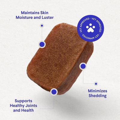 Daily Multi 21 Multivitamin Soft Chews Supplement for Dogs, 60 count