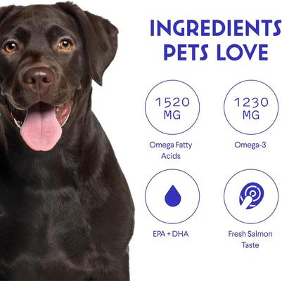 Fish Oil Skin, Joint, Immune & Heart Health Liquid Supplement for Dogs, 16-fl oz bottle