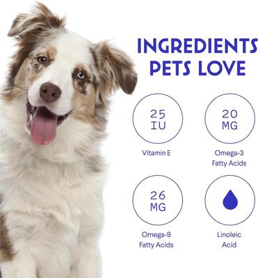 Skin & Coat Soft Chews Supplement for Dogs, 70 count