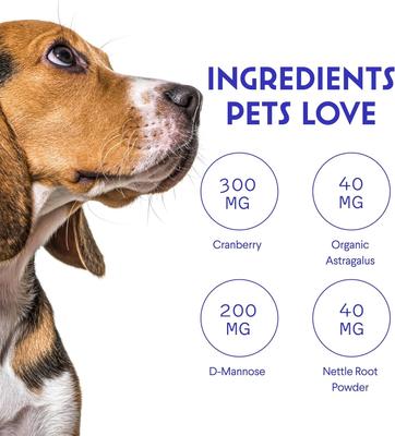 Cranberry Relief Kidney Support Supplement for Dogs, 2-oz bottle