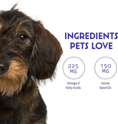 Hemp Oil with Wild Salmon Oil, Calming Hemp Supplement for Dogs, 2-fl oz bottle