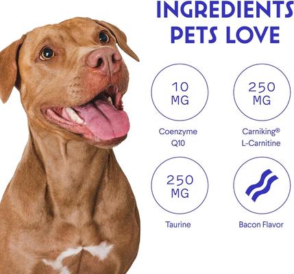 Cardio Support Soft Chews Supplement for Dogs, 90 count