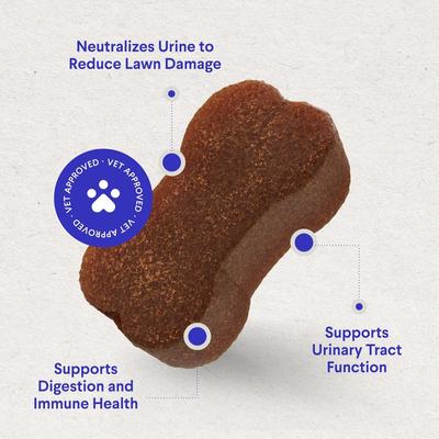 Grass Hero Burn Spot Treatment & Urinary Health Soft Chews Supplement for Dogs, 60 count