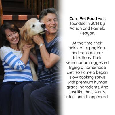 Chicken, Sweet Potato & Parsley Baked Cookie Dog Treats, 4-oz bag