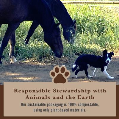 Fórmula vegetal, masticables veganos de tocino asado con espirulina orgánica para perros, bolsa de 177 g, 120 unidades