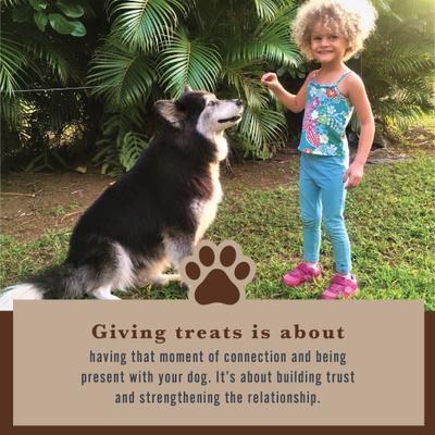 Fórmula vegetal, masticables veganos de tocino asado con espirulina orgánica para perros, bolsa de 177 g, 120 unidades