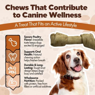 Knotted 8 to 9-in Chicken Flavor Rawhide Bone Dog Treats, 10 count