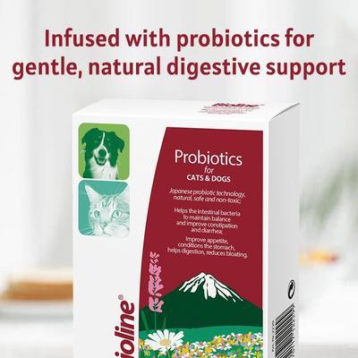 Probiotics Powder Digestive Aid Supplement for Dogs & Cats, 10 count