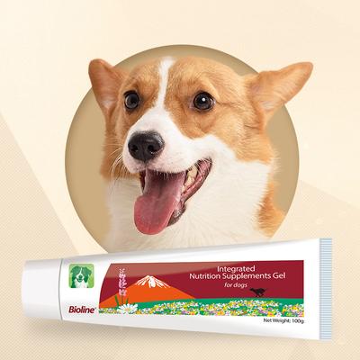 Integrated Nutrition Chicken Flavored Gel Weight Management Supplement for Dogs, 3.5-oz tube