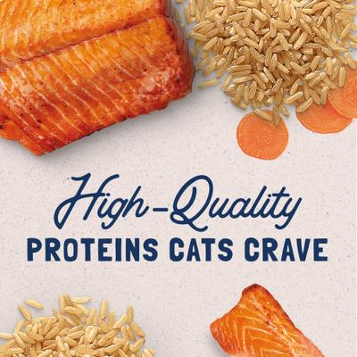 Ultra Premium Salmon Formula Canned Cat Food, 5.5-oz, case of 24