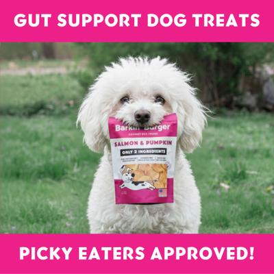 Barkin Burger Salmon & Pumpkin Dog Treat, 4-oz bag