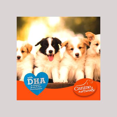 Hide-Free 7-in Puppy Rolls Chicken Dog Treat, 7.6-oz bag, 2 count