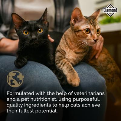 Alimento seco Maintenance 30/15 para gatos adultos moderadamente activos, bolsa de 20 lb