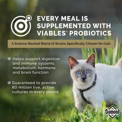 Alimento seco Maintenance 30/15 para gatos adultos moderadamente activos, bolsa de 20 lb