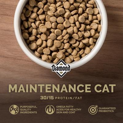 Alimento seco Maintenance 30/15 para gatos adultos moderadamente activos, bolsa de 20 lb