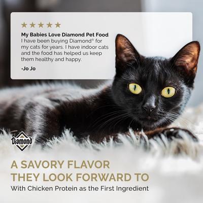 Alimento seco Maintenance 30/15 para gatos adultos moderadamente activos, bolsa de 20 lb