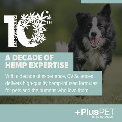 Pet Calming Care Beef & Bacon Flavored Soft Chew Full Spectrum Hemp Extract Calming Health Supplement for Dogs, 60 count