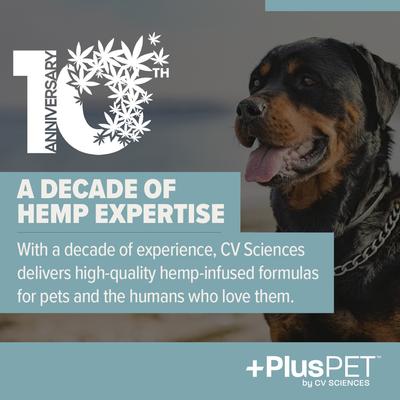 Pet Daily Balance Softgel Full Spectrum Hemp Extract Health Supplement for Large Breed Dogs, 30 count