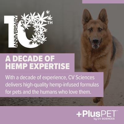 Pet Hip & Joint Health Beef & Bacon Flavored Soft Chew Full Spectrum Hemp Extract Joint Health Supplement for Dogs, 60 count