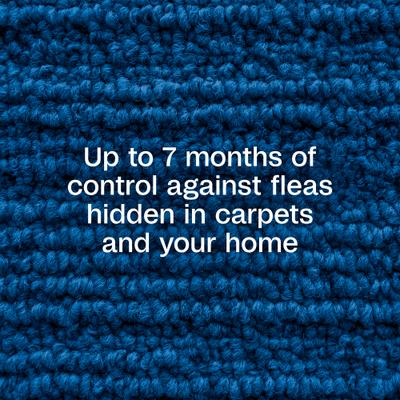 Plus Flea & Tick Carpet Spray, 16-fl oz spray