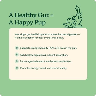 Probiotic Pumpkin Flavored Powder Digestive Aid Supplement for Dogs, 40 servings