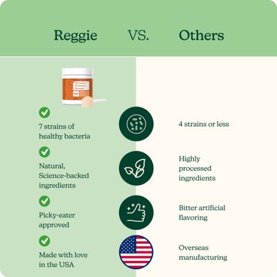 Probiotic Pumpkin Flavored Powder Digestive Aid Supplement for Dogs, 40 servings