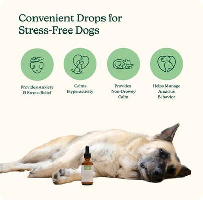 Anytime Drops Chicken Flavored Liquid Calming Supplement for Dogs, 60-mL bottle